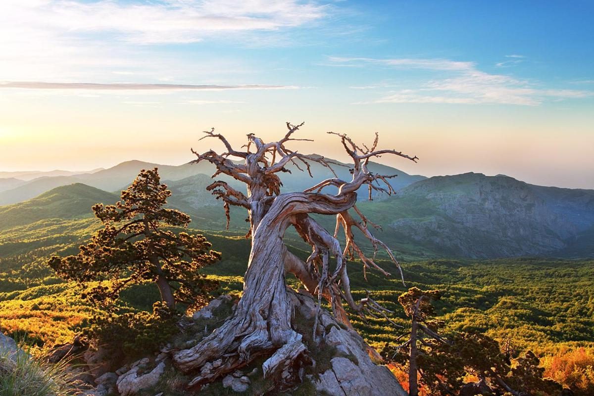La Stella Del Pollino Hotel San Lorenzo Bellizzi Екстериор снимка