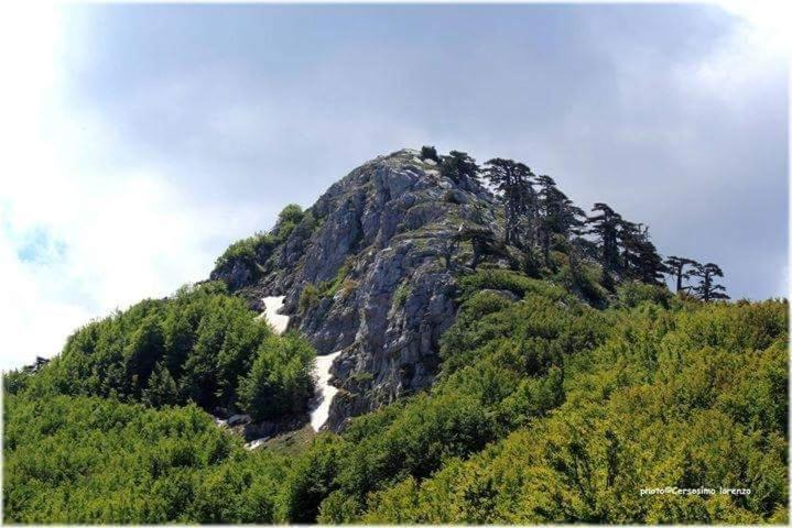 La Stella Del Pollino Hotel San Lorenzo Bellizzi Екстериор снимка